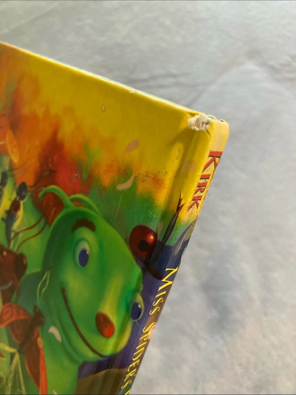 'Miss Spider's Wedding' book